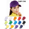 DJIP-1743