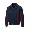 ED-1(NAVY/WINE)